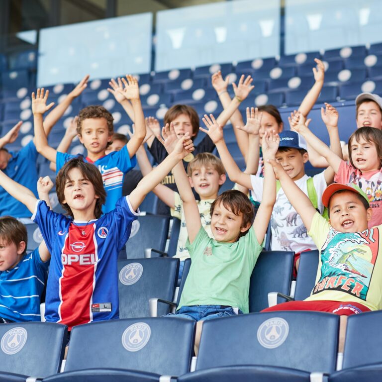 Parc Des Princes Stadium Tour Amazing Days Out 2022