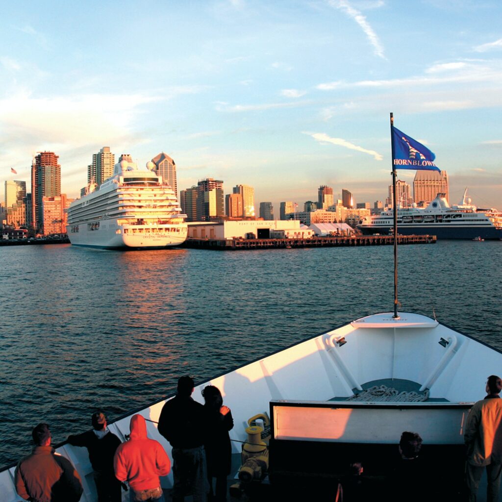 1-Hour San Diego Harbor Cruise & Sea Lion Adventure in United States