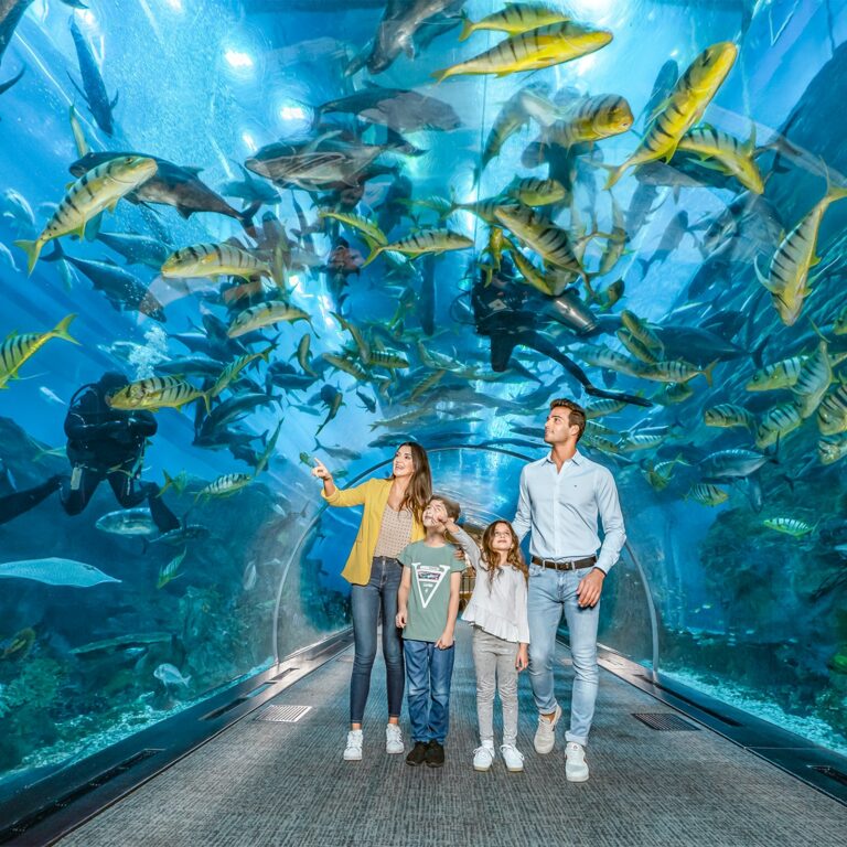 Dubai Aquarium & Underwater Zoo in United Arab Emirates