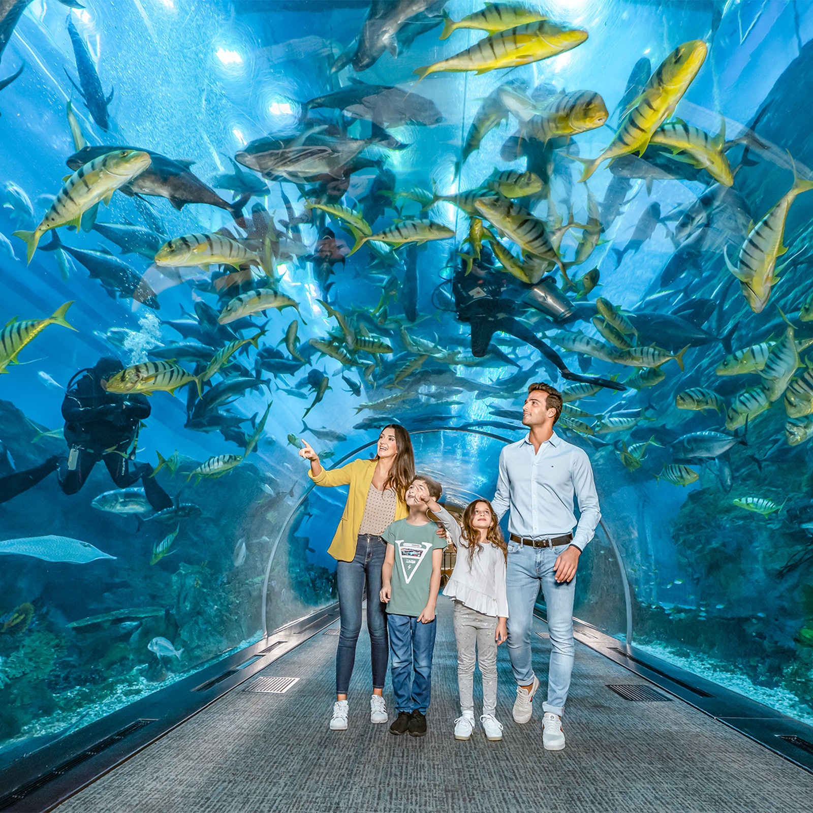Dubai Aquarium & Underwater Zoo in United Arab Emirates