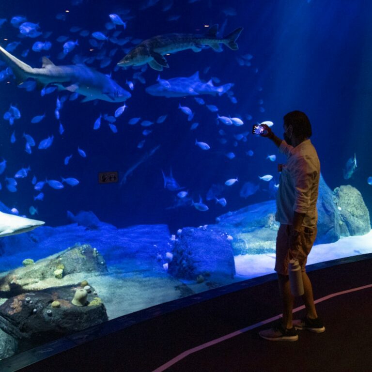 New York Aquarium in United States