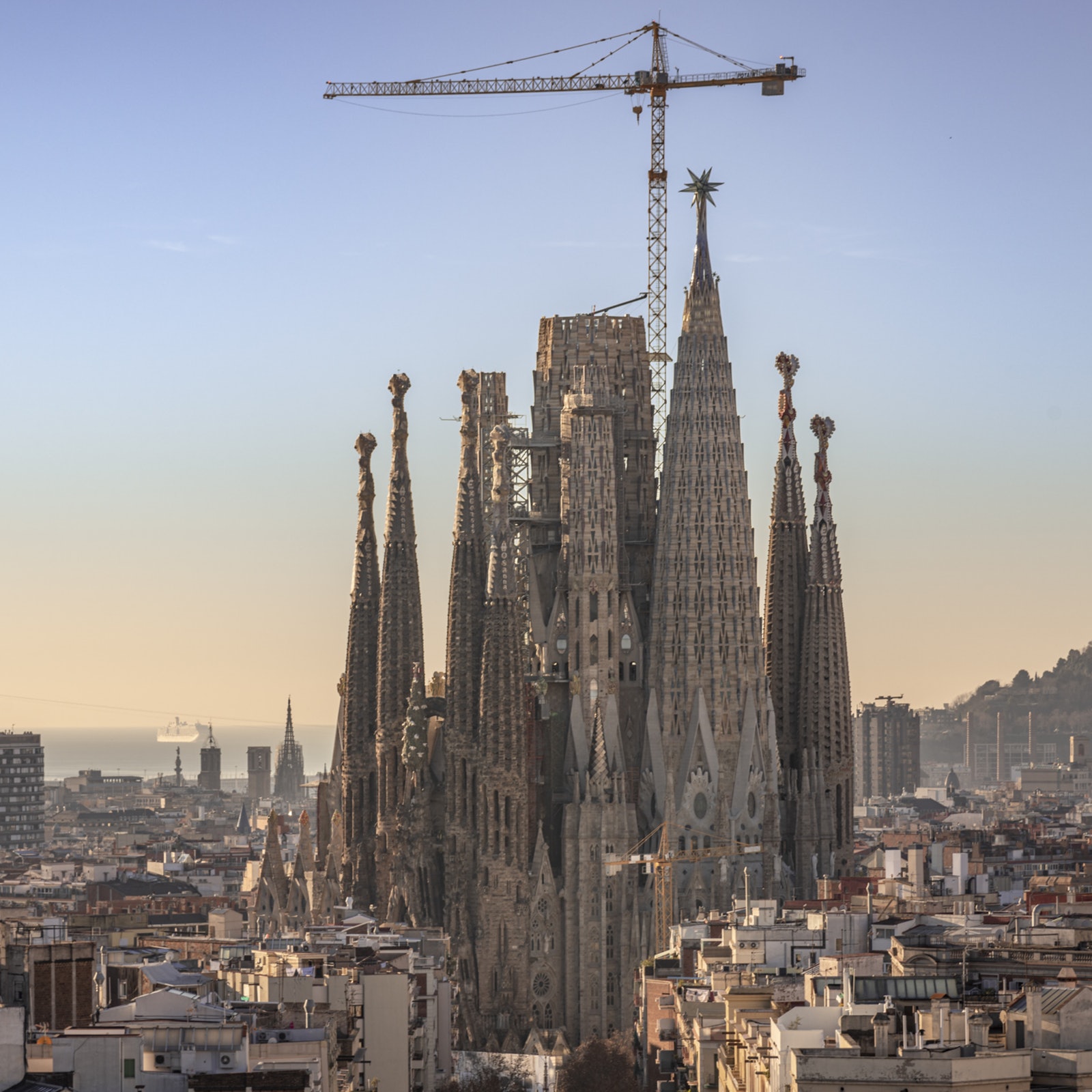 Sagrada Familia: Fast Track & Tower Access in Spain