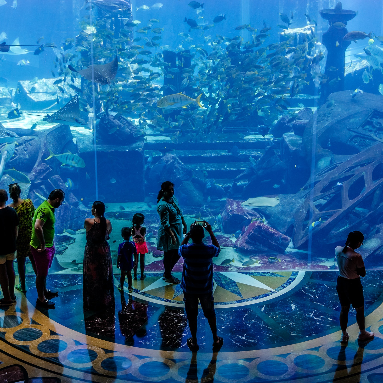 The Lost Chambers Aquarium in United Arab Emirates