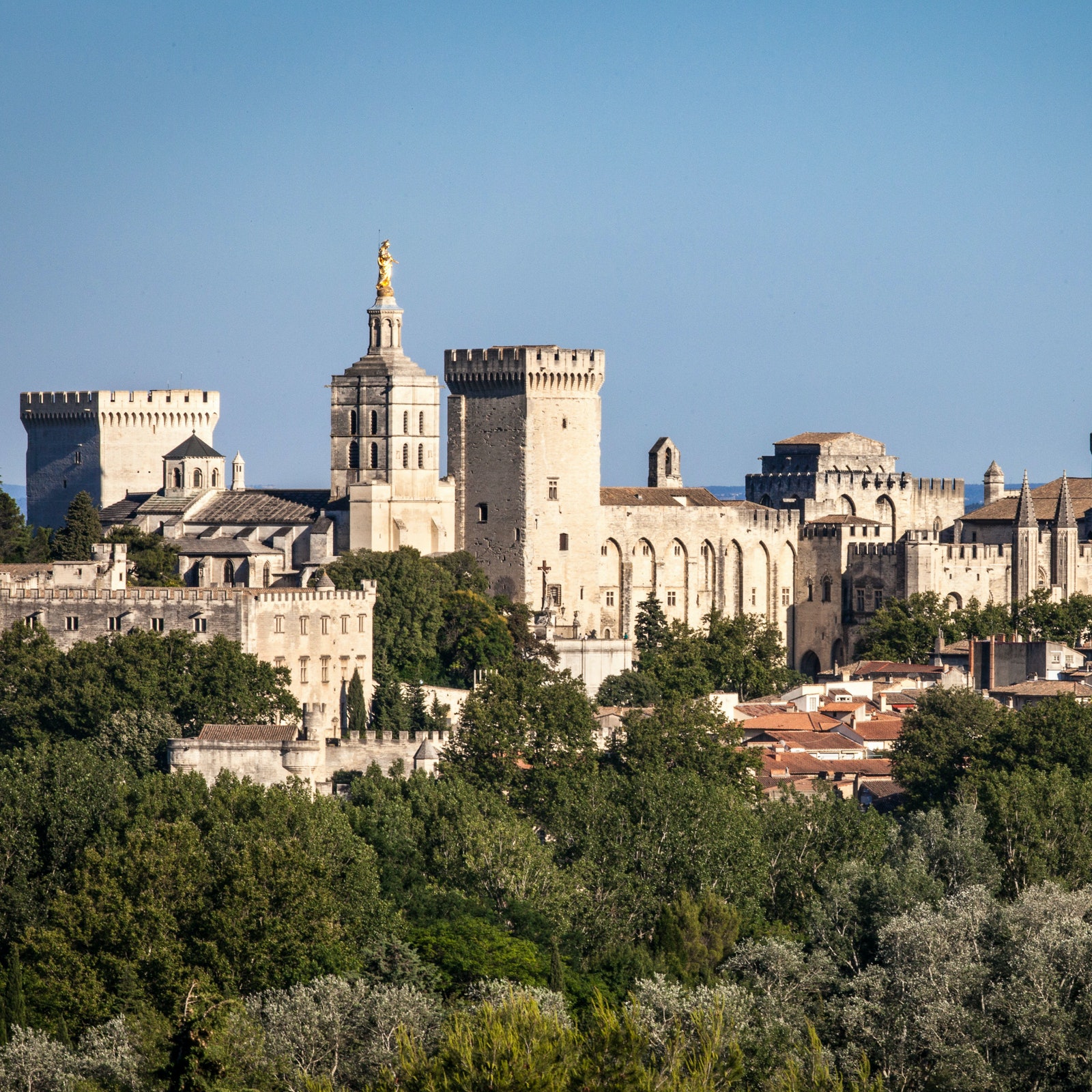 Palace of the Popes & Avignon Bridge in France
