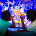 Aquarium of the Pacific: Skip The Line in United States