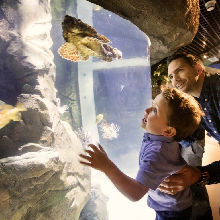 Exploris Aquarium in United Kingdom