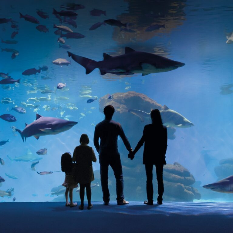 Palma Aquarium: Skip The Line in Spain