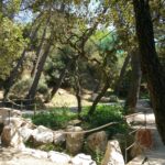 PARC ANIMALIER DE LA BARBEN