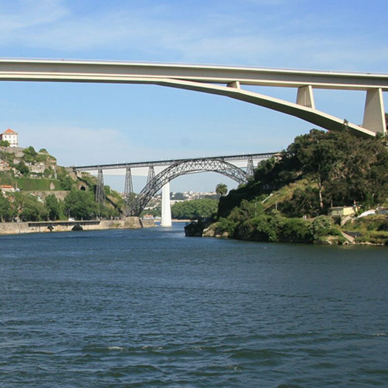 Tomaz do Douro - Image 5