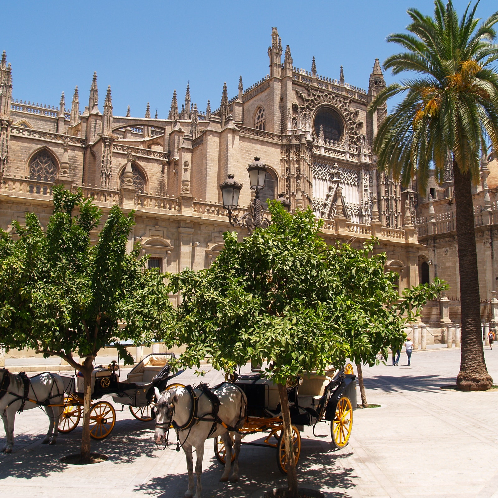 Alcázar of Seville: Skip The Line + Guided Tour in Spain