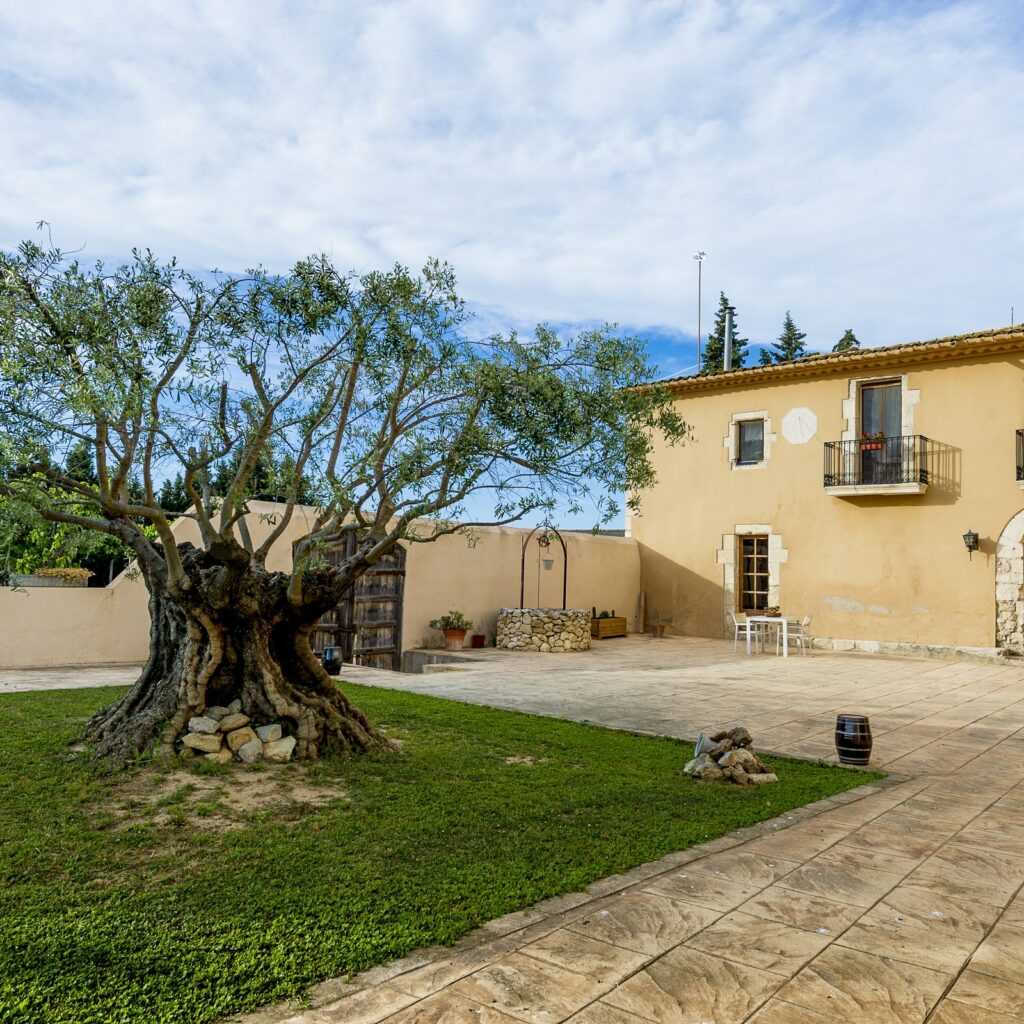 ArtCava: Cava Workshop in Spain