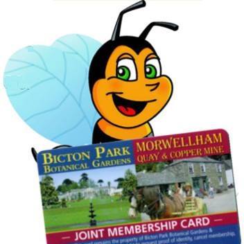 Bicton Park Botanical Gardens in UK