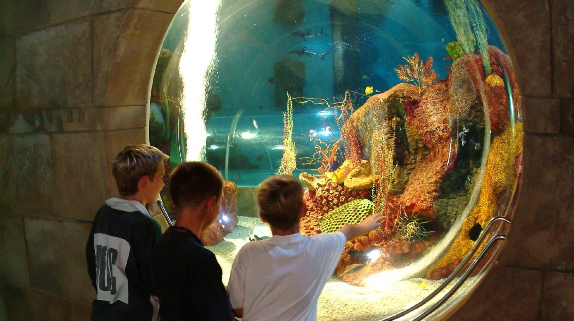 Blue Reef Aquarium Portsmouth in UK