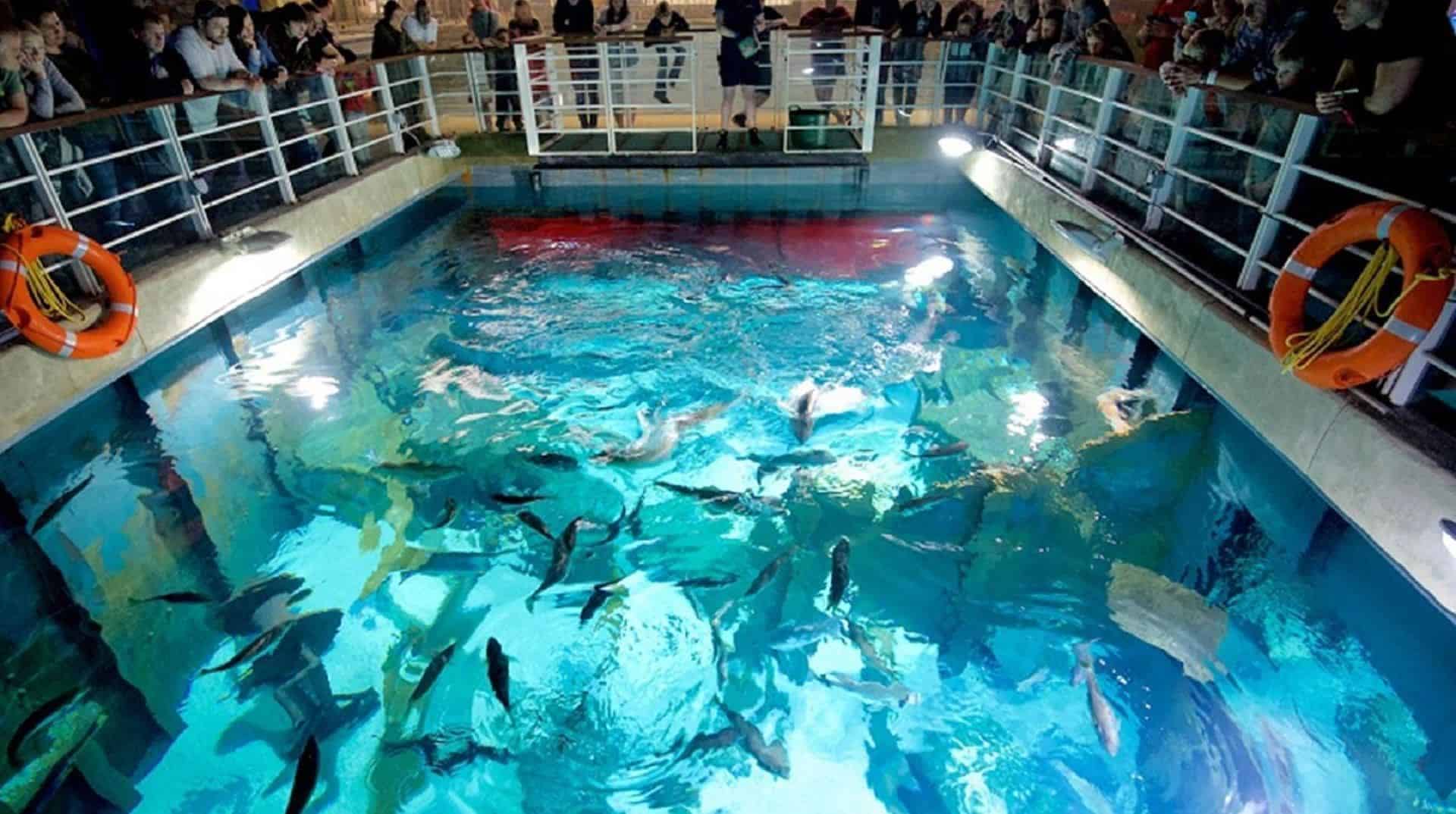Bristol Aquarium in UK