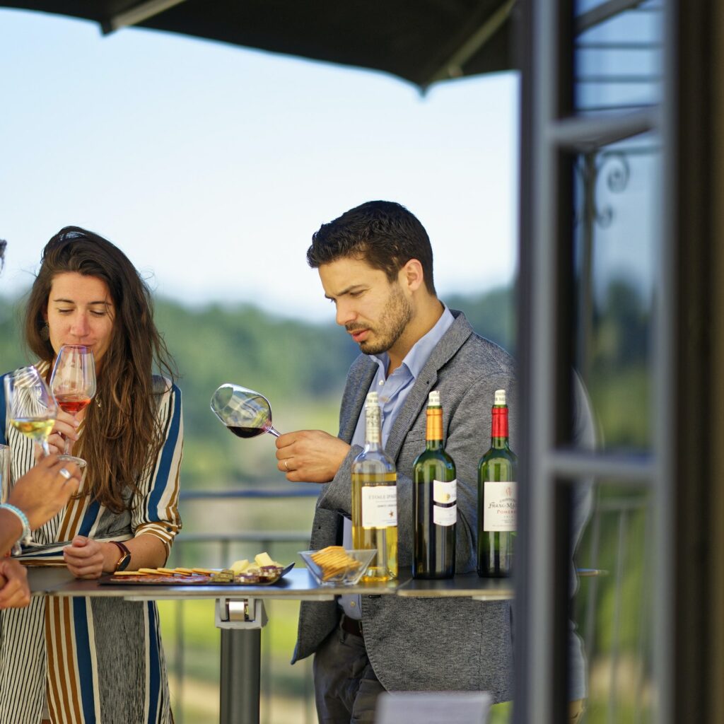 Château La Croizille: Guided Tour + Wine Tasting in France