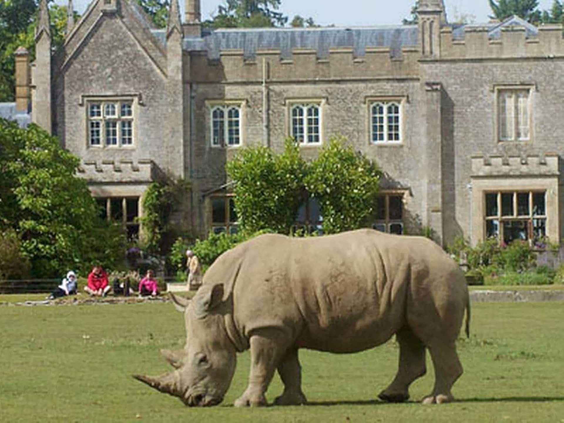 Cotswold Wildlife Park and Gardens in UK