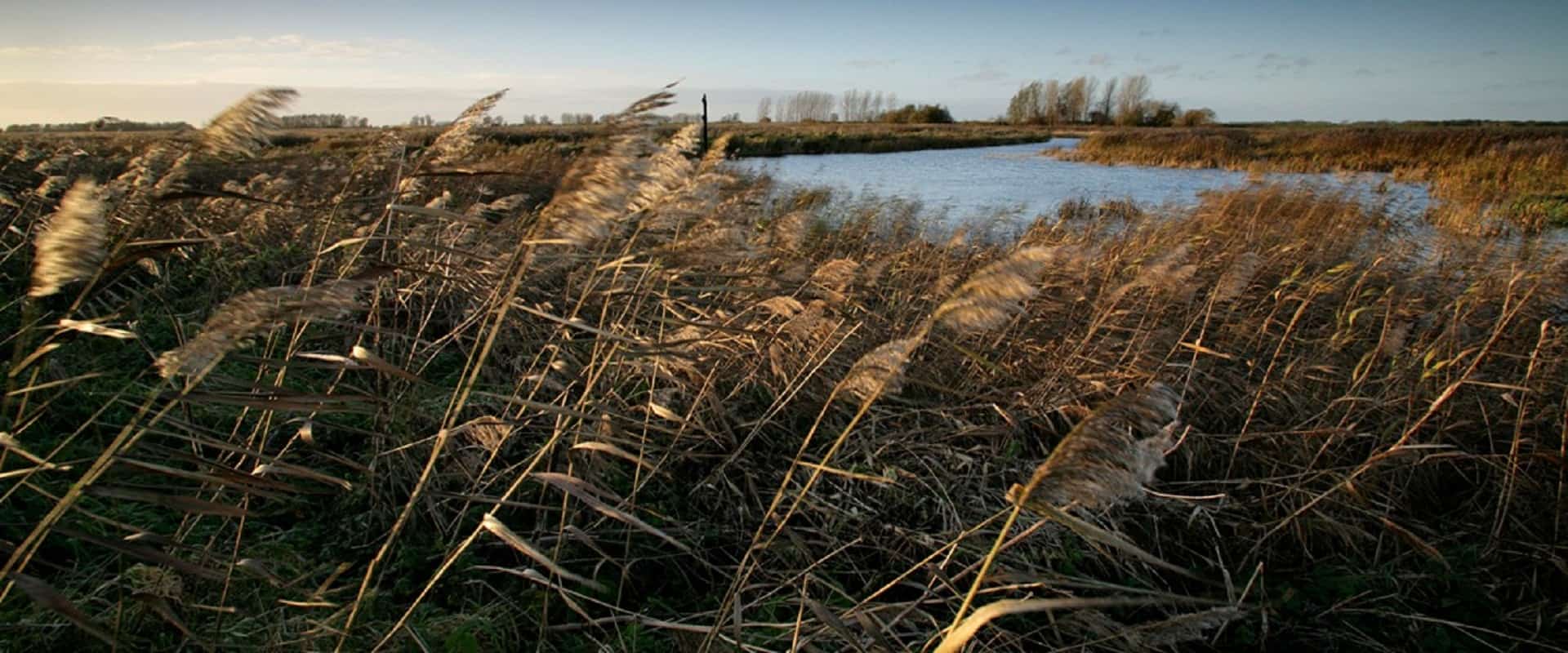 Dungeness National Nature Reserve in UK