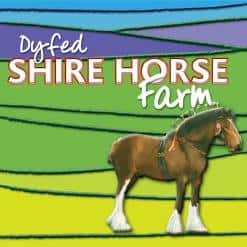 Dyfed Shire Horse Farm in UK