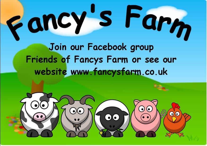 Fancy's Family Farm in UK