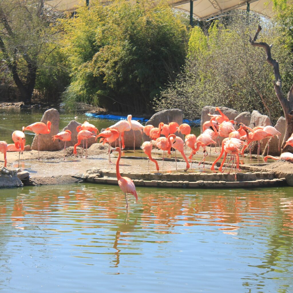 Faunia Nature Park: Skip The Line in Spain