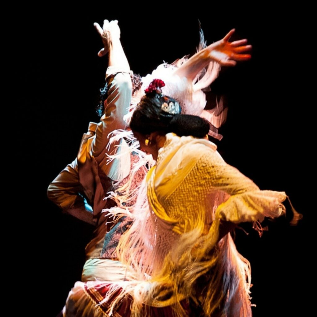 Flamenco Dance Museum - Museum & Show in Spain