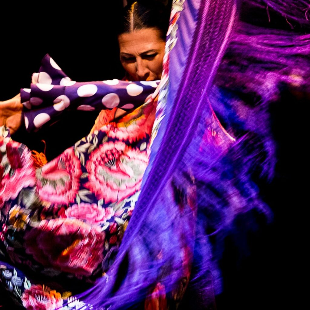 Flamenco Dance Museum - Show Only (17:00