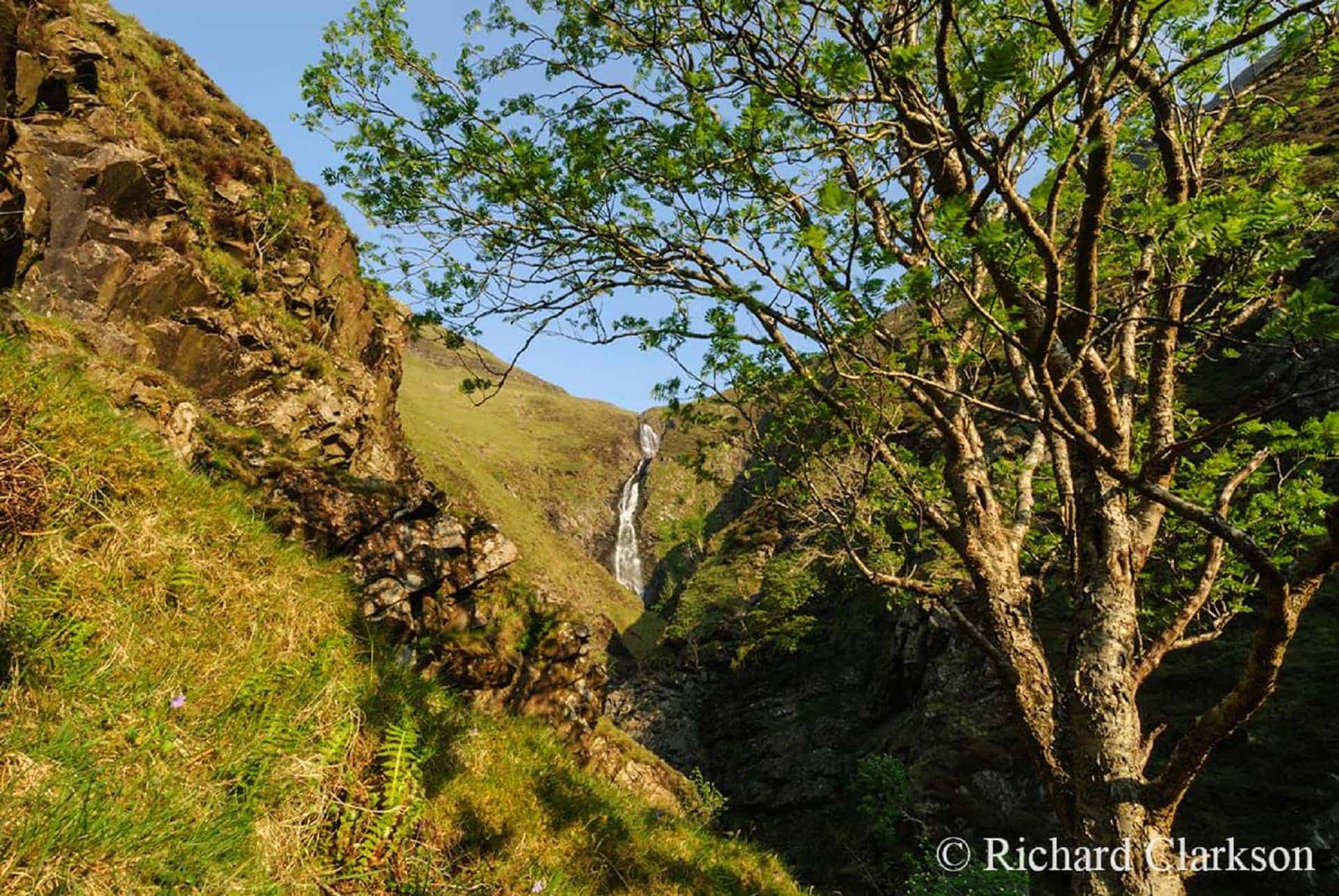 Grey Mares Tail Nature Reserve in UK