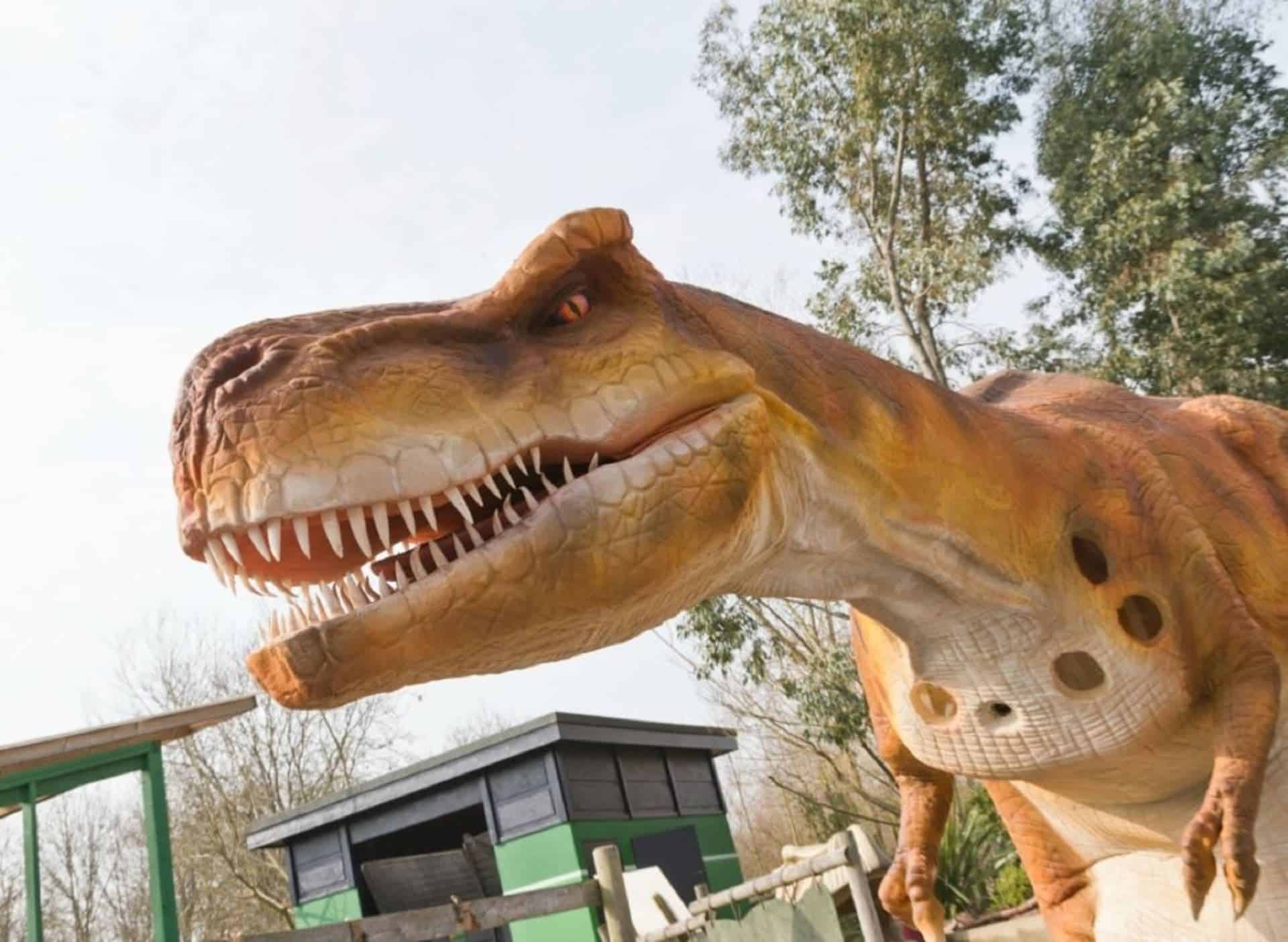 Gullivers Dinosaur and Farm Park in UK