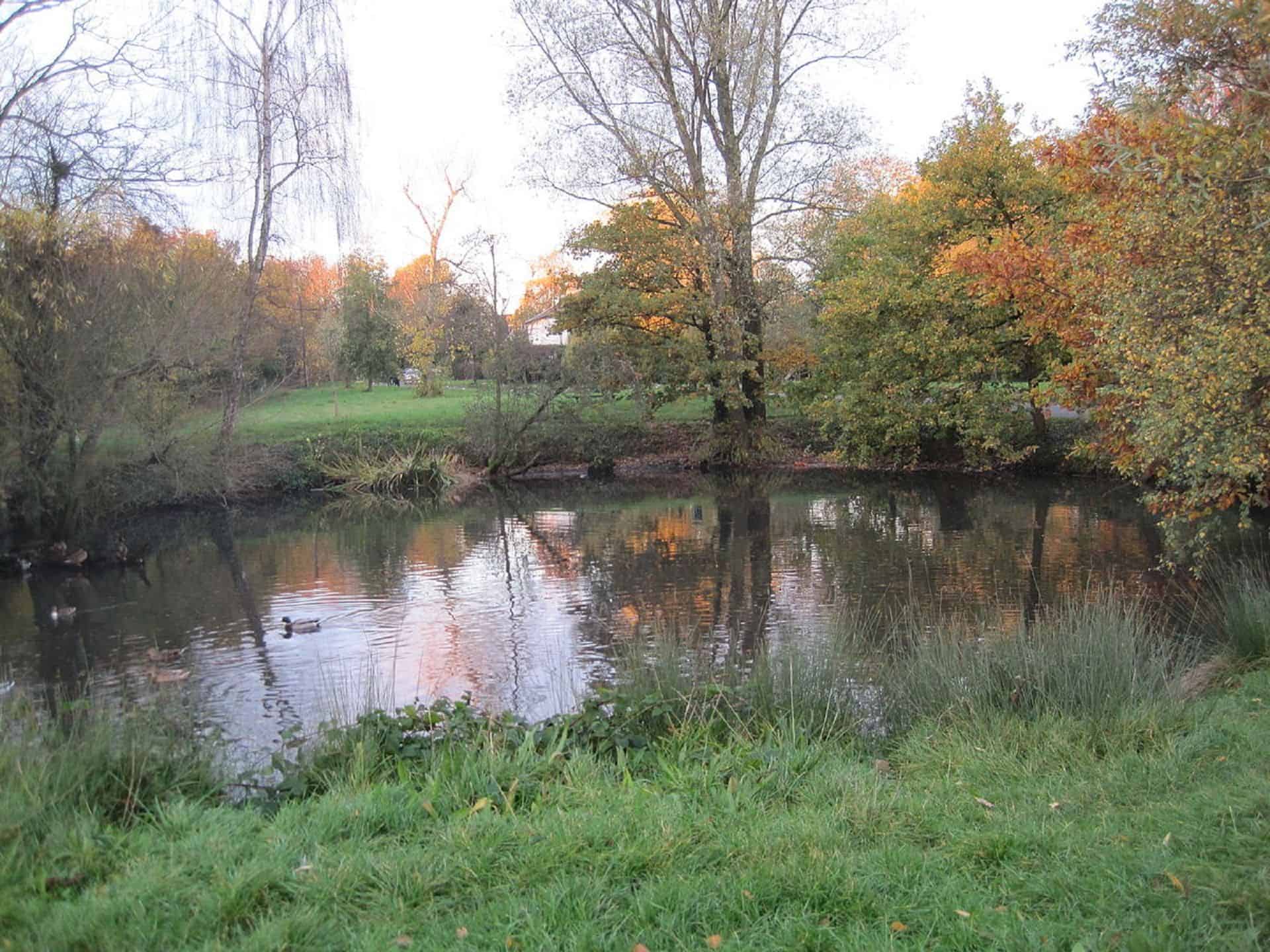 Historic Southfields Pond in UK