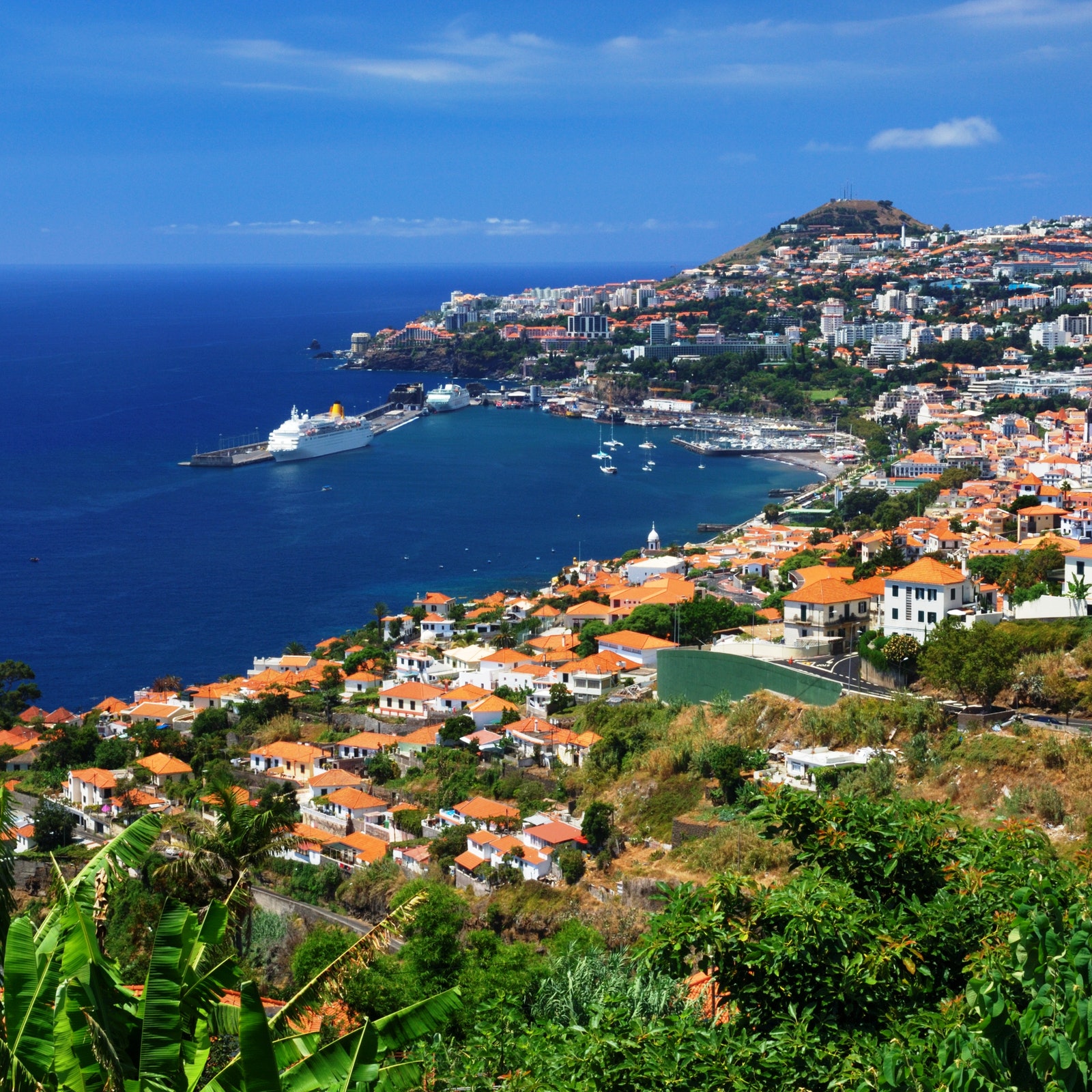 Hop-on Hop-off Bus Funchal: 48-Hour 3 in 1 Tour in Portugal