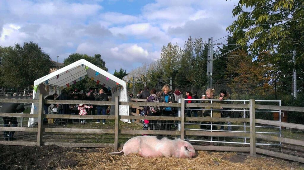 Kentish Town City Farm in UK