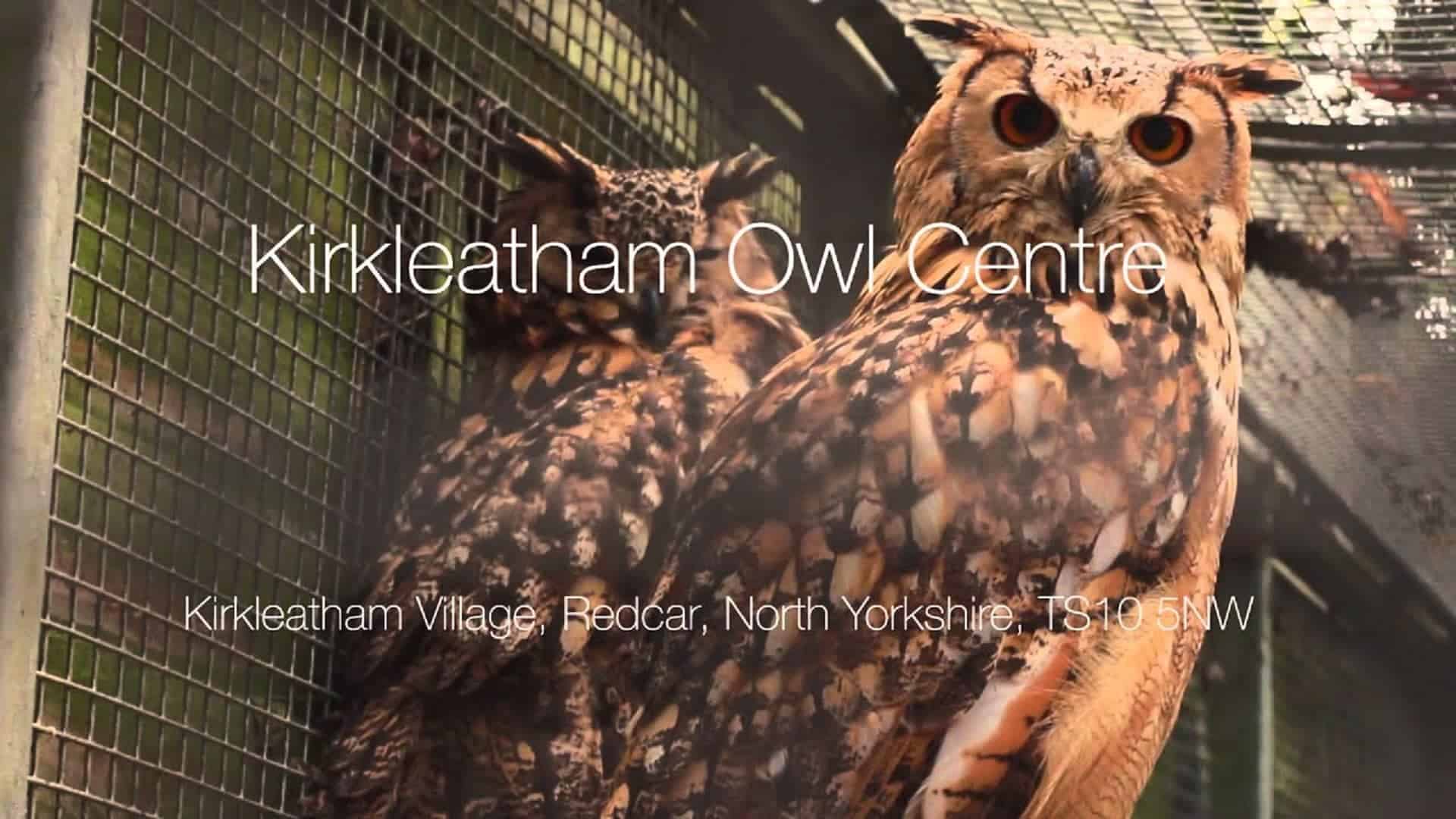 Kirkleatham Owl Centre in UK