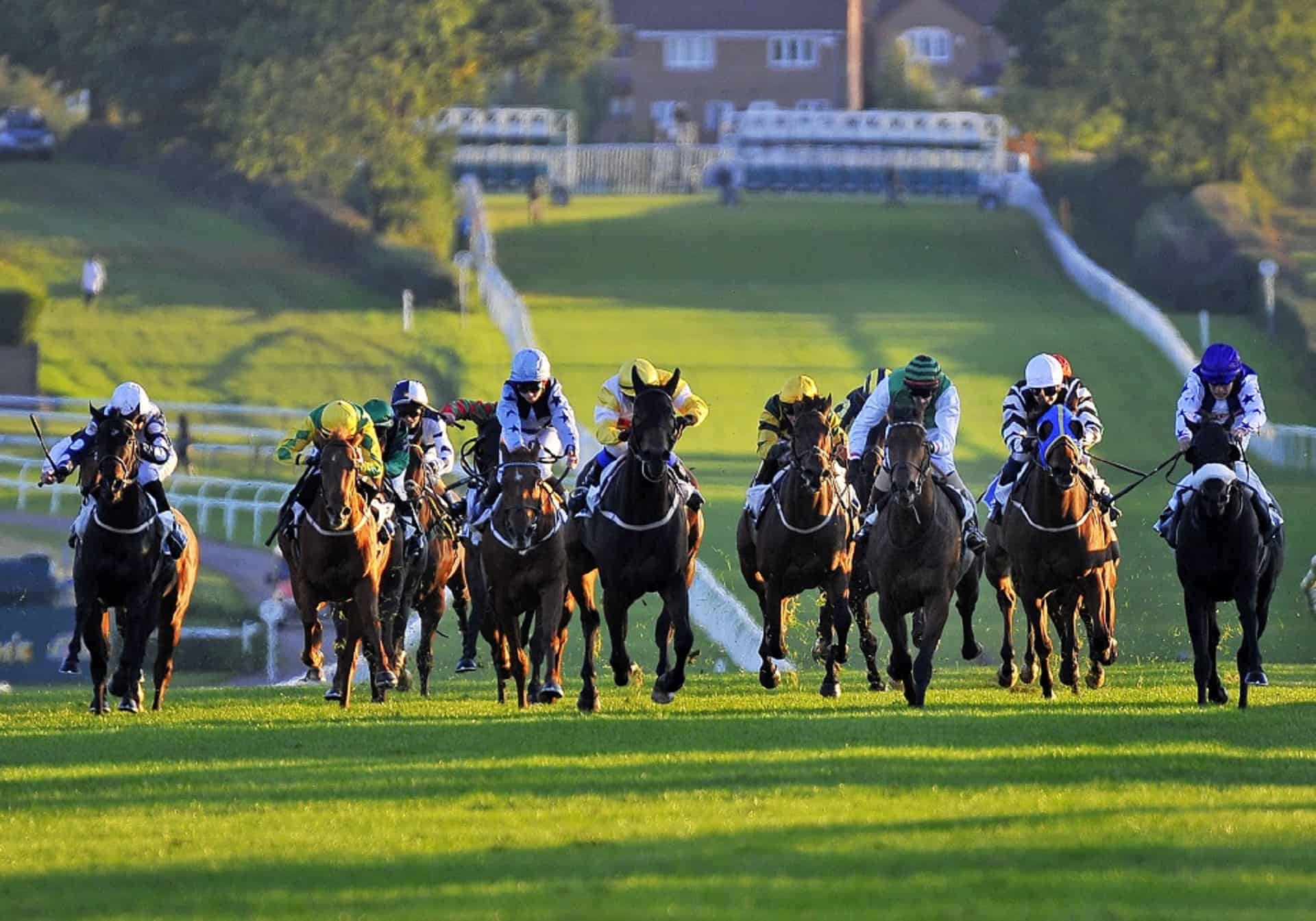 Leicester Racecourse in UK