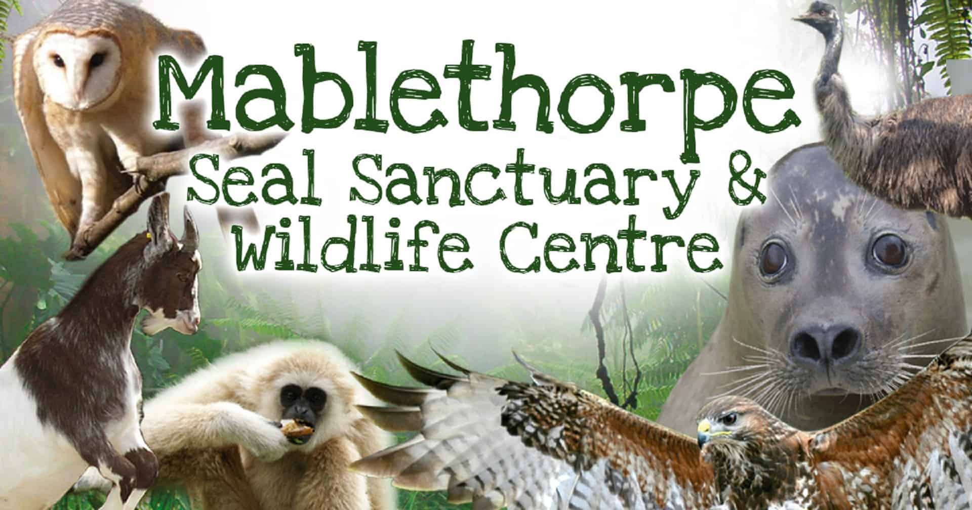 Mablethorpe Seal Sanctuary and Wildlife Centre in UK