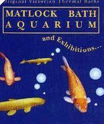 Matlock Bath Aquarium and arcade in UK