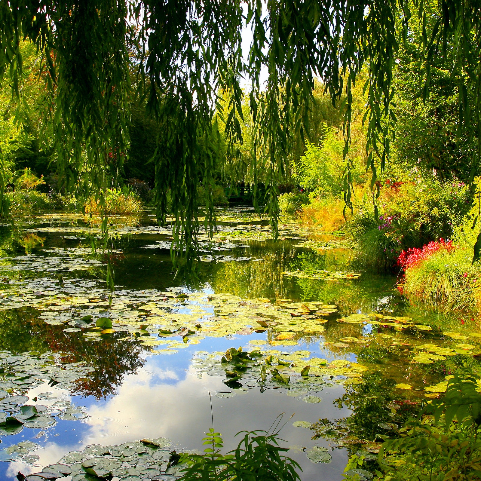 Monet's Garden in Giverny: Half-Day Audio-Guided Tour from Paris in France
