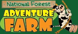 National Forest Adventure Farm in UK