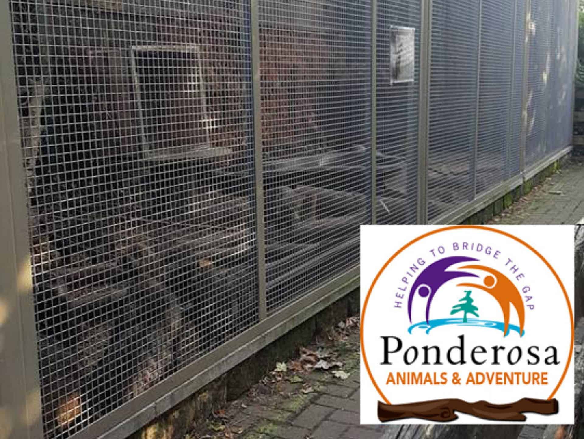 Ponderosa Zoo in UK