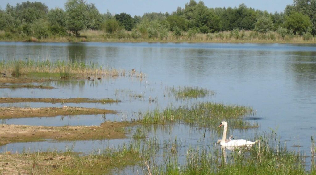 RSPB Ouse Fen Reserve in UK