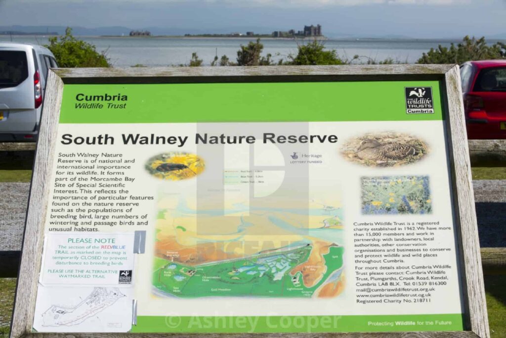 South Walney Nature Reserve in UK
