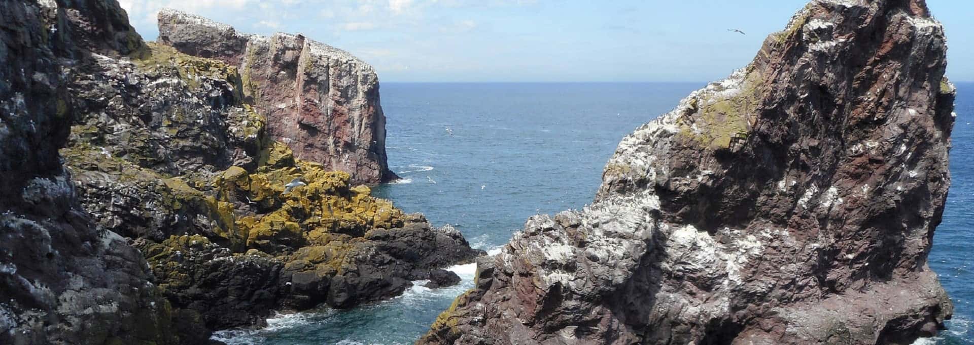 St Abb's Head Nature Reserve in UK