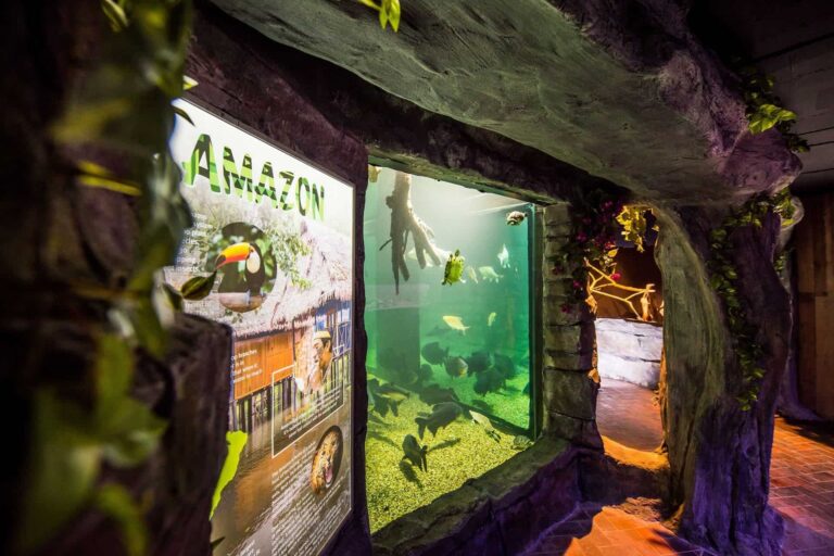 St Andrews Aquarium in UK