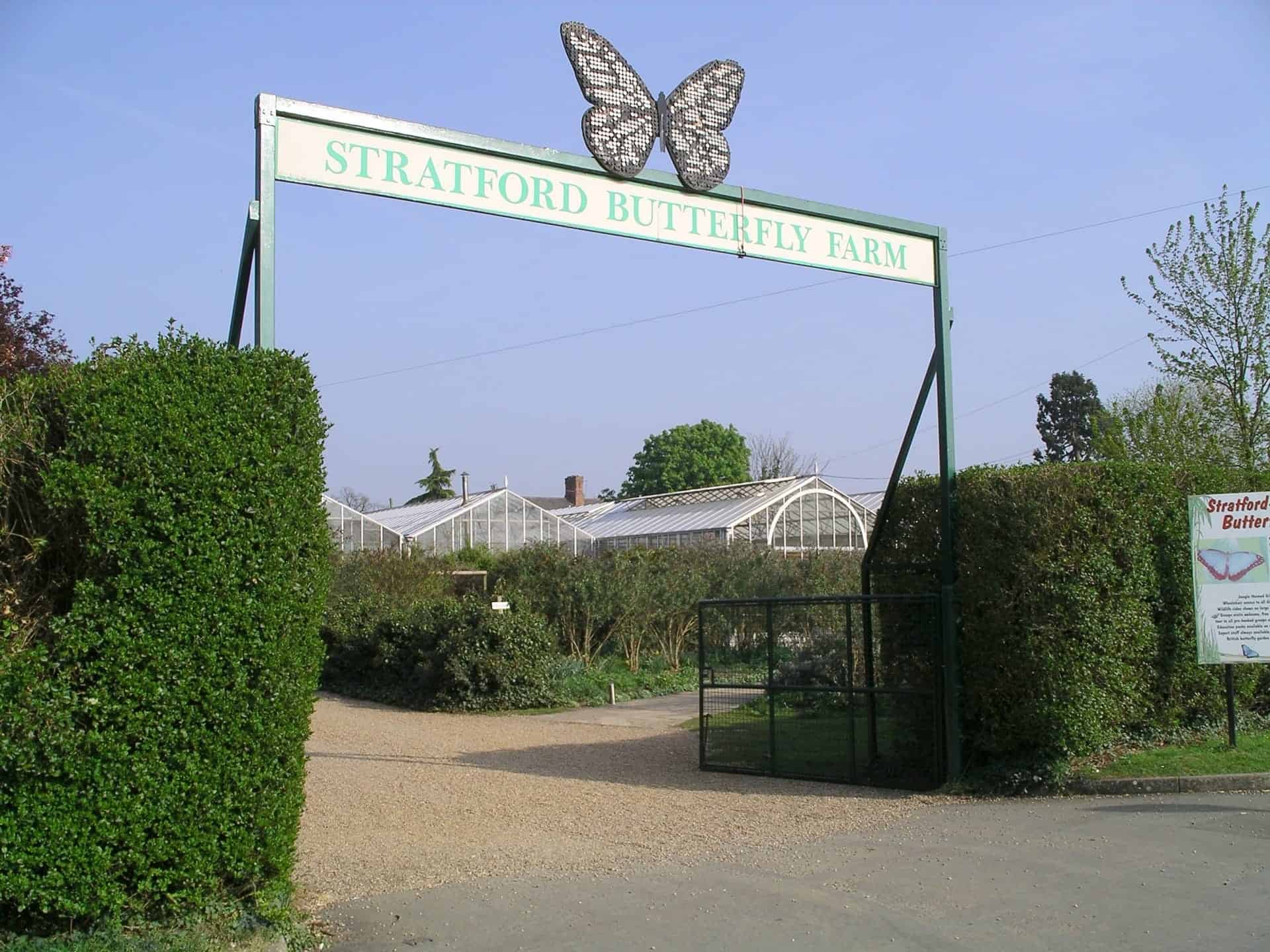 Stratford Butterfly Farm in UK