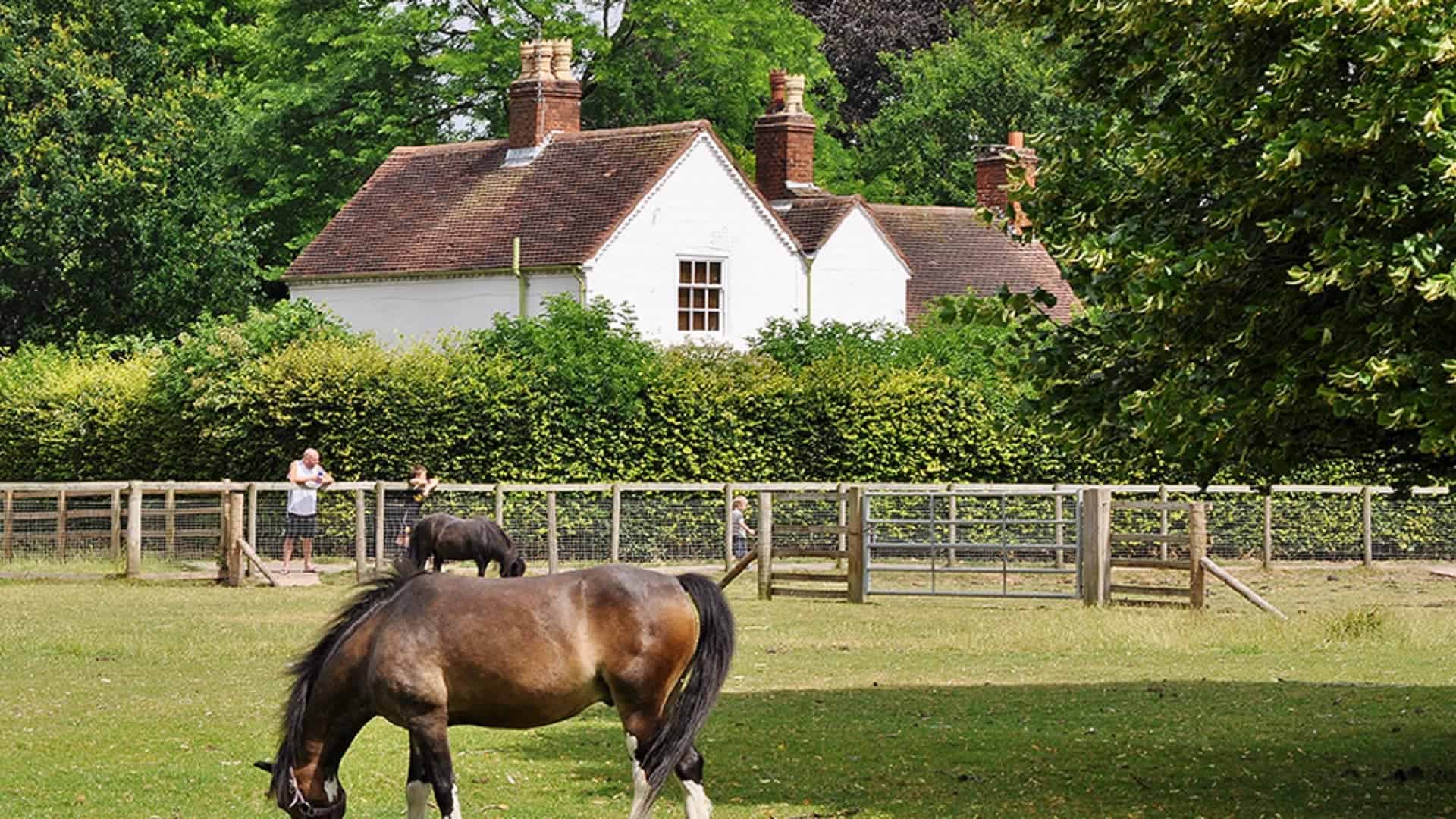 The Old Rectory Farm - Sheldon Country Park in UK