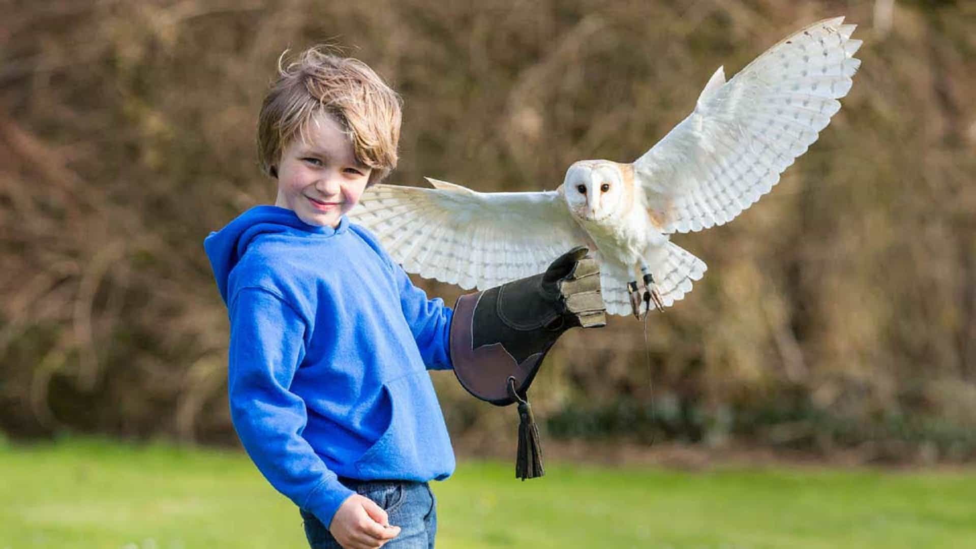The Secret Owl Garden in UK