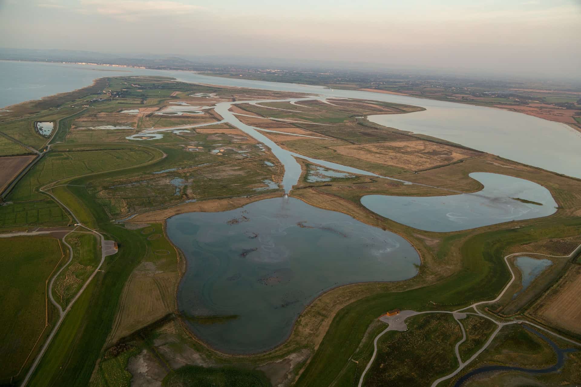 WWT Steart Marshes in UK