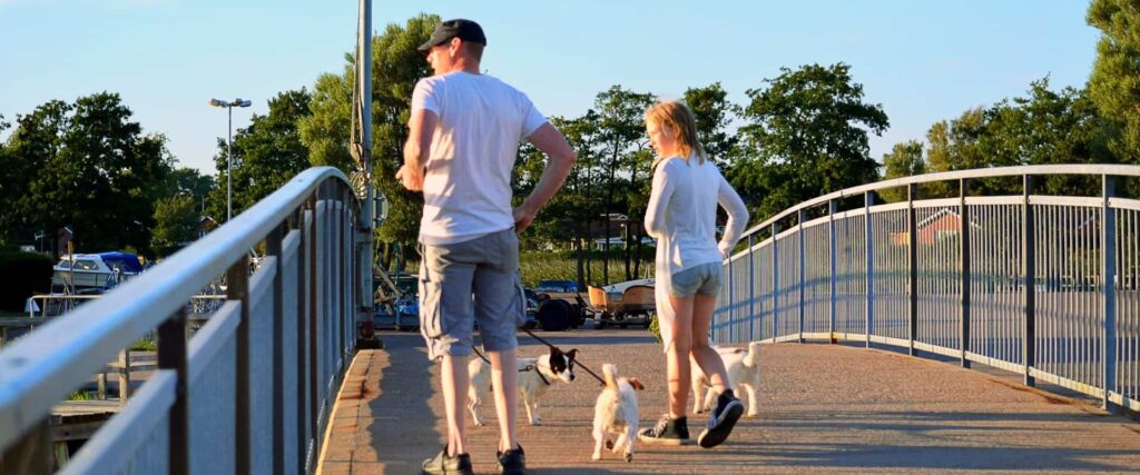 York Treasure Hunt in UK