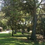 PARC ANIMALIER DE LA BARBEN