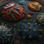Learn about bacteria, disease and viruses