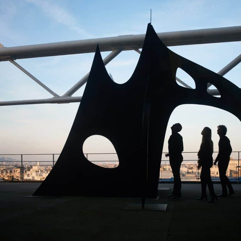 Manuel Braun, Centre Pompidou